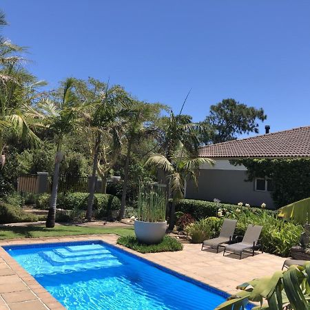 African Palm Cottage And Guesthouse Durbanville Exteriér fotografie