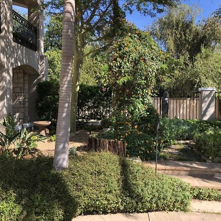 African Palm Cottage And Guesthouse Durbanville Exteriér fotografie