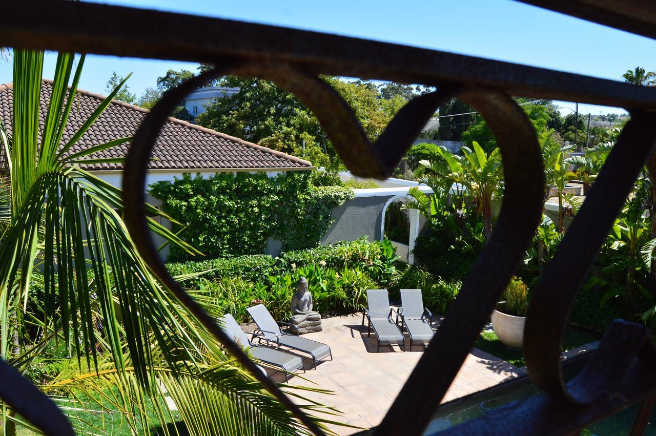 African Palm Cottage And Guesthouse Durbanville Exteriér fotografie