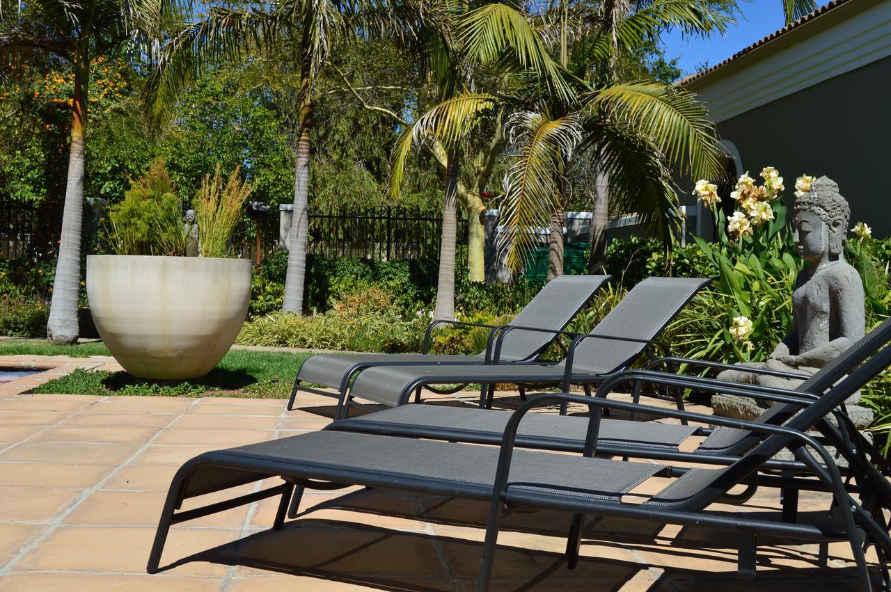 African Palm Cottage And Guesthouse Durbanville Exteriér fotografie