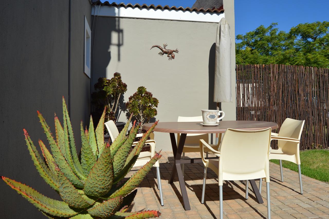 African Palm Cottage And Guesthouse Durbanville Exteriér fotografie