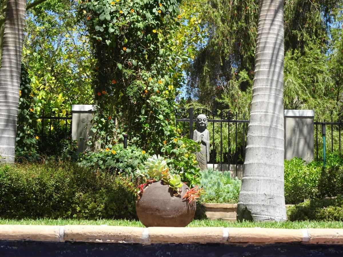 African Palm Cottage And Guesthouse Durbanville Exteriér fotografie